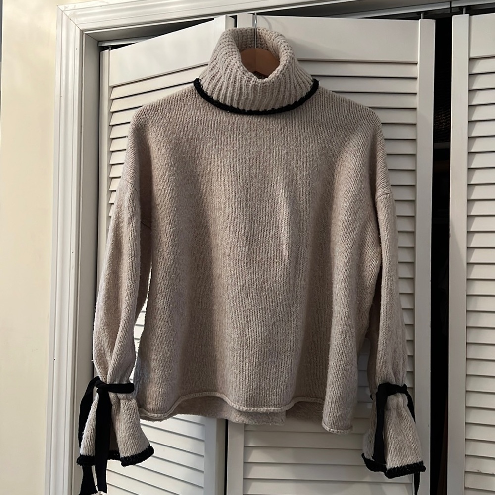 Zara Knit Chunky Turtle Neck